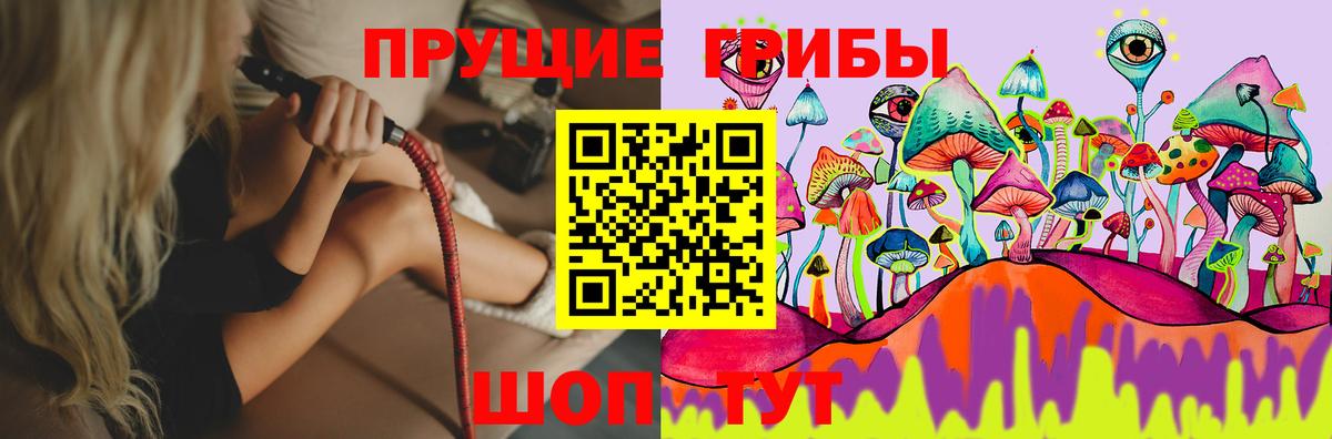 Ульяновск  Псилоцибиновые грибы Psilocybe  Вход с VPN 